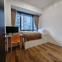 Skysuites@Anson (D2), Apartment #500349321